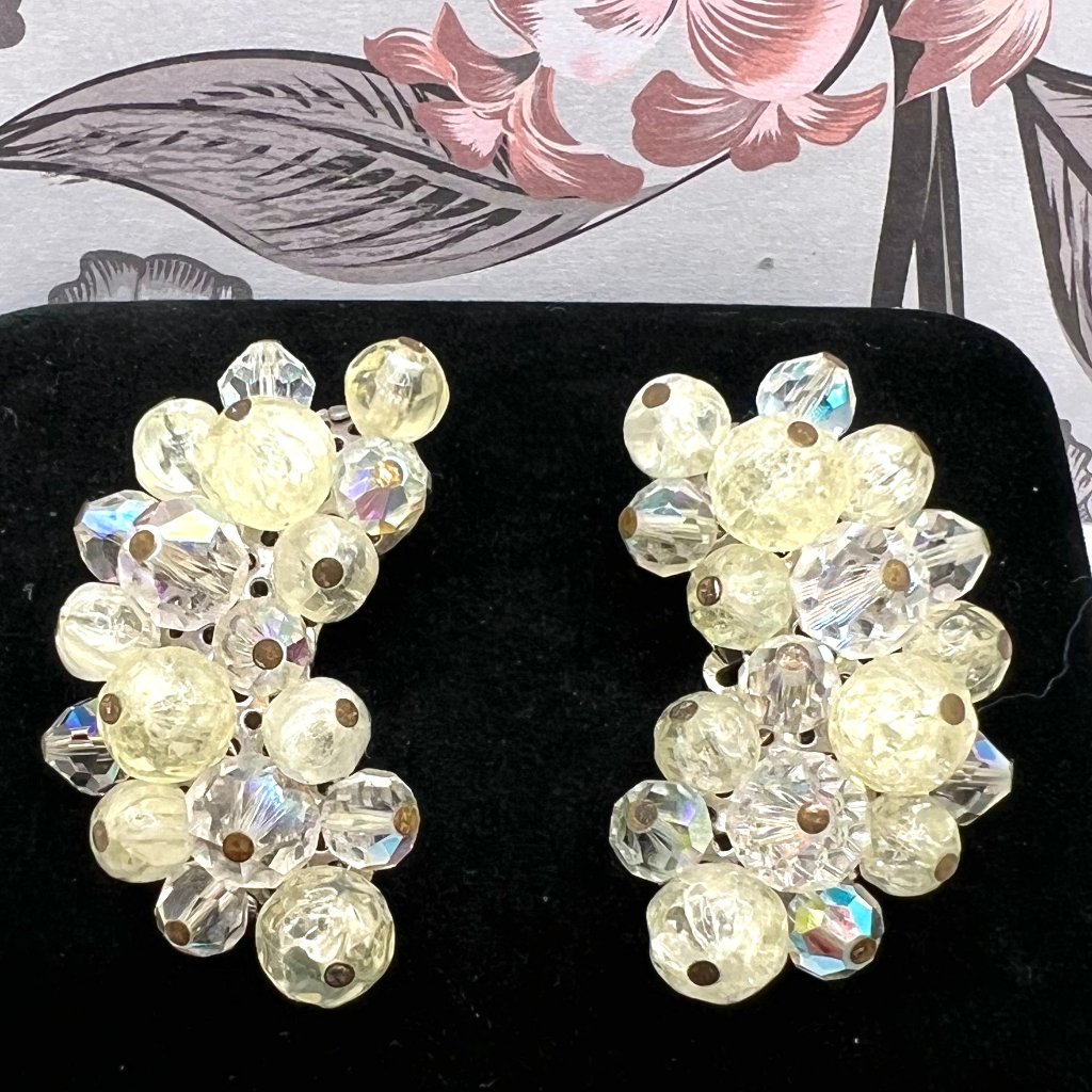 Laguna Lucite And Ab Crystal Ear Crawler Clip Earrings